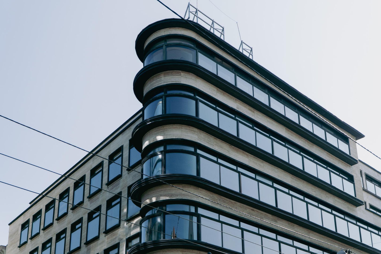 Kameleon we Wrocławiu