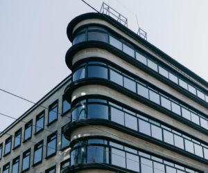 Kameleon we Wrocławiu