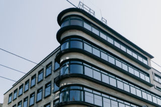 Kameleon we Wrocławiu