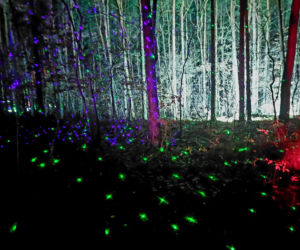 Lumina Park Bydgoszcz