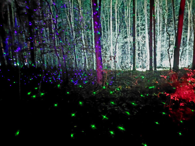 Lumina Park Bydgoszcz