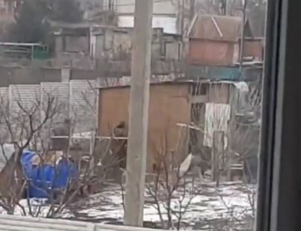  Rosyjski żołnierz chwali się żonie, ile nakradł w Ukrainie. Ona składa zamówienie: laptop, buty i garnitur