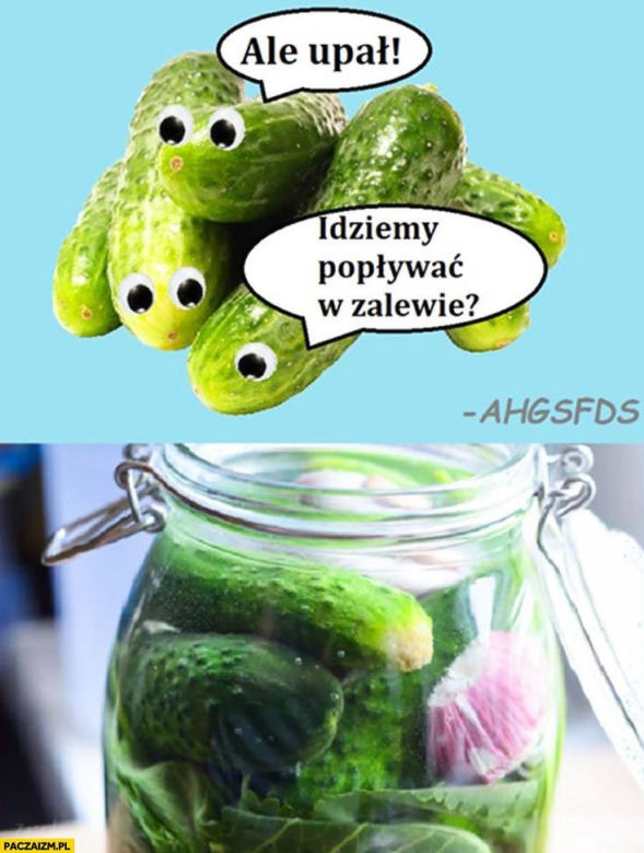 Czy do pokoju Hobbit wrzucił pierścień? Tak wyglądają upały w Polsce. MEMY