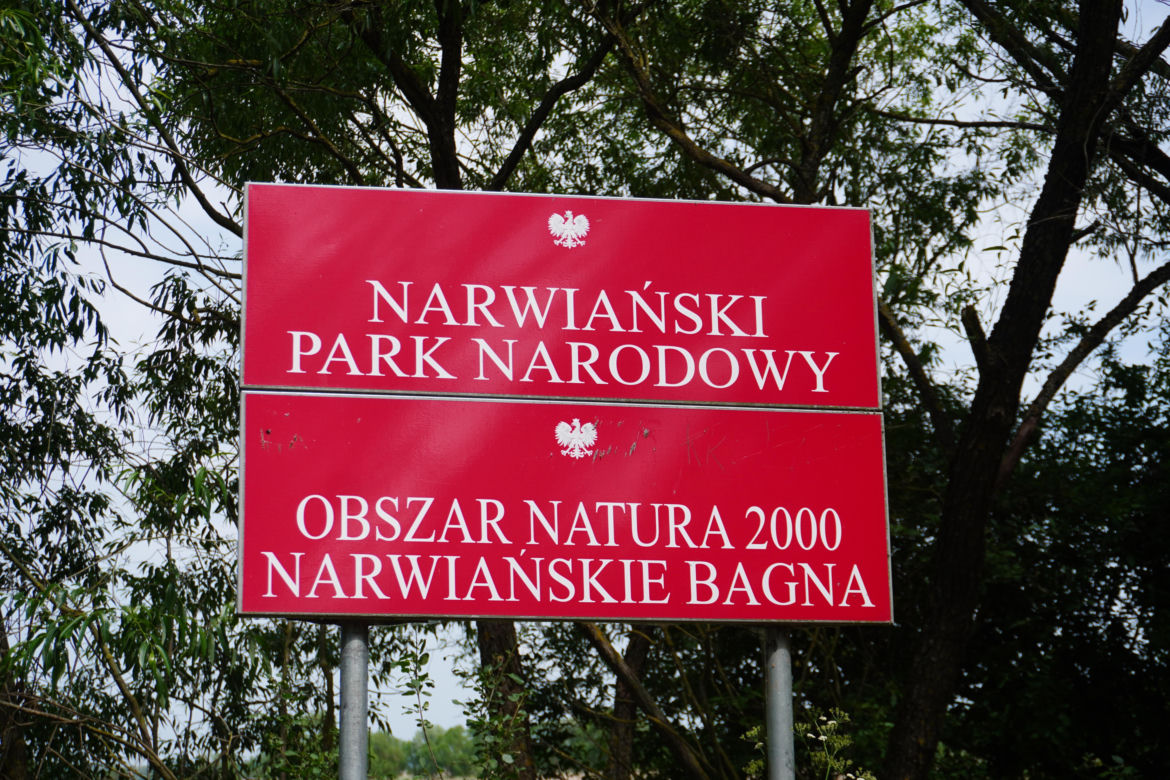 Zerwany most nad Narwią. Zobacz krajobraz Narwiańskiego Parku Narodowego