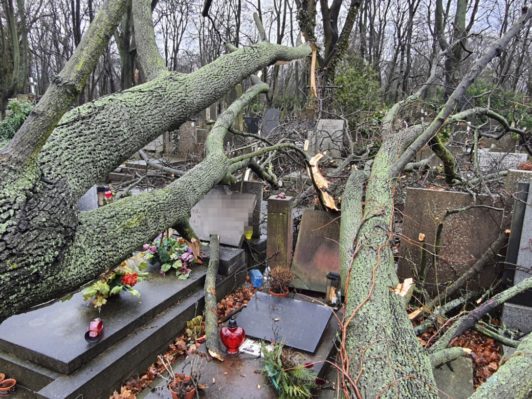 Wichura zdemolowała stołeczne nekropolie. Kompletna ruina na cmentarzach 