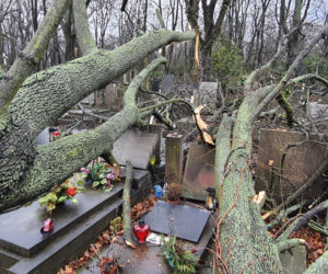 Wichura zdemolowała stołeczne nekropolie. Kompletna ruina na cmentarzach 