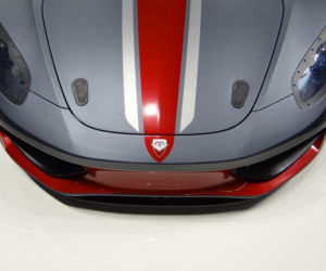 Arrinera Hussarya 