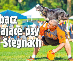 Zobacz latające psy na Stegnach