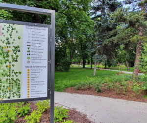 Będą porządki w parku Witosa w Bydgoszczy