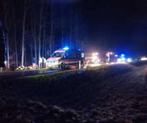  Wypadek na DK 53 w Olszynach. Samochód uderzył w drzewo. Trzy osoby ranne [FOTO]
