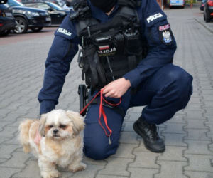 Policjant przygarnął psa