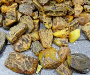 Udaremniono przemyt prawie 26 kg bursztynu