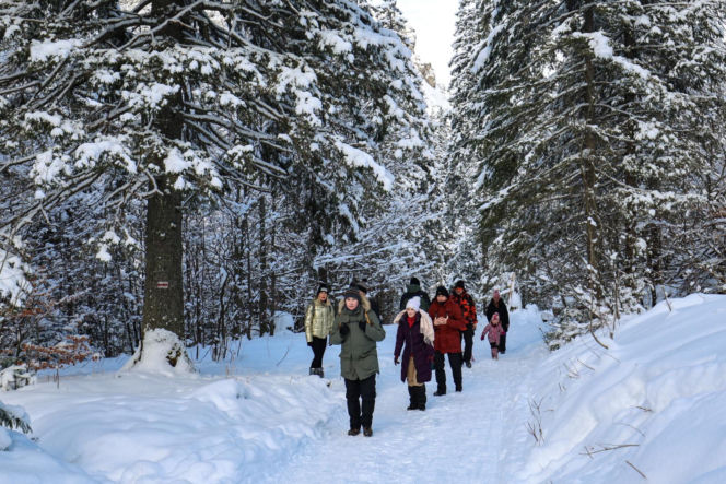 W Tatrach powstały spektakularne lodospady