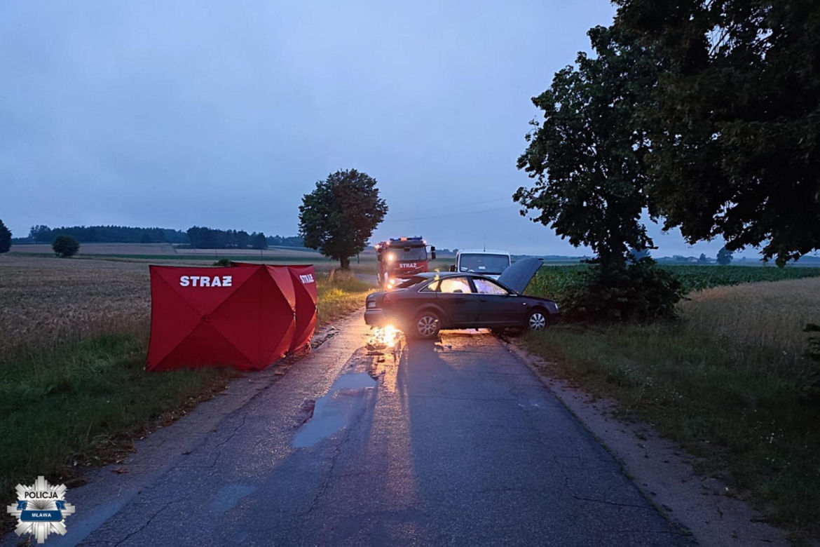 Młody kierowca trzasnął audi w drzewo. 36-latek ni żyje, nastolatek w ciężkim stanie