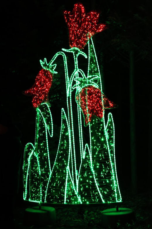 Lumina Park 2023 w Lublinie