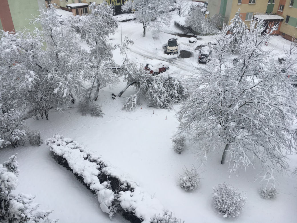 Atak zimy w Białymstoku [26.01.2021]