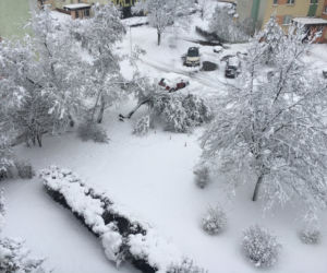 Atak zimy w Białymstoku [26.01.2021]