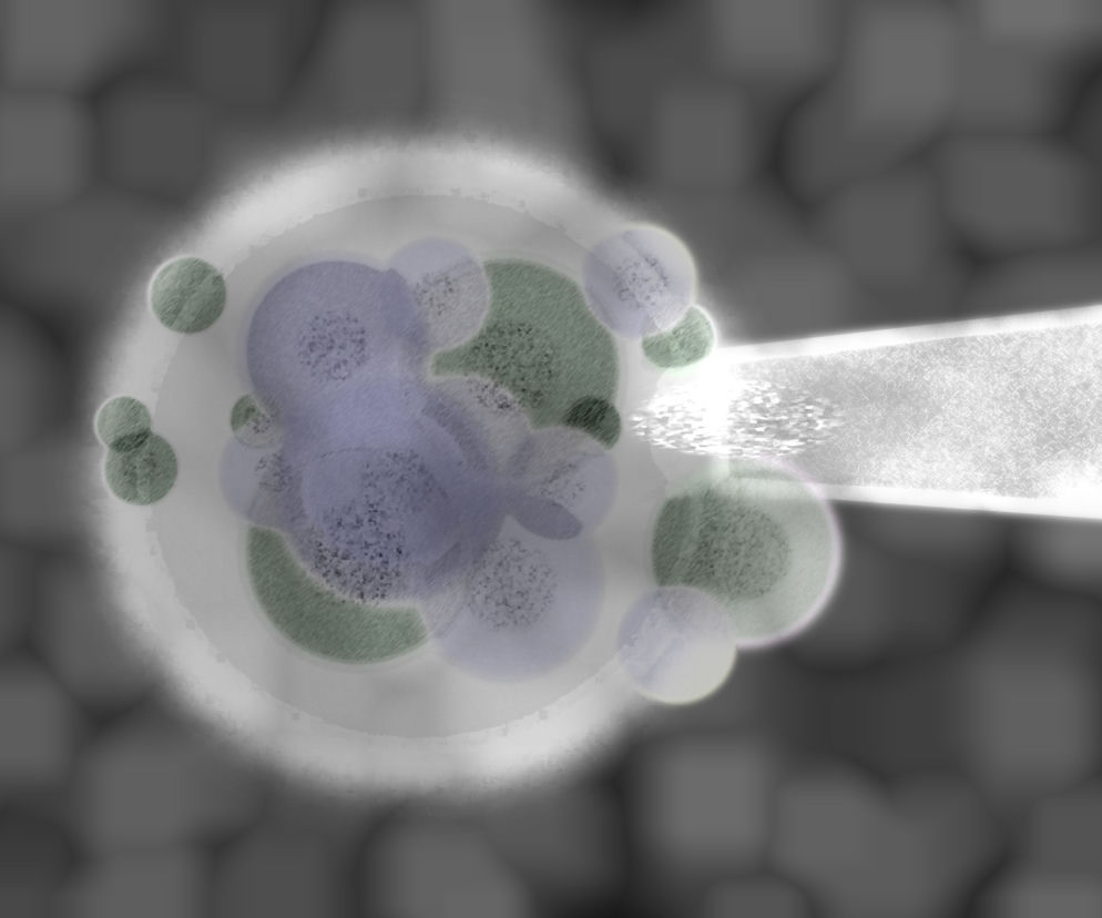 Ustawa o in vitro