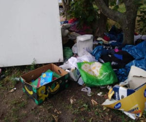 Poznań: Na drzewie wyrosły... misie! Interweniowali strażnicy 