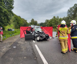 Wypadek w Witowicach Górnych. Nie żyją dwie osoby, ranne są dzieci