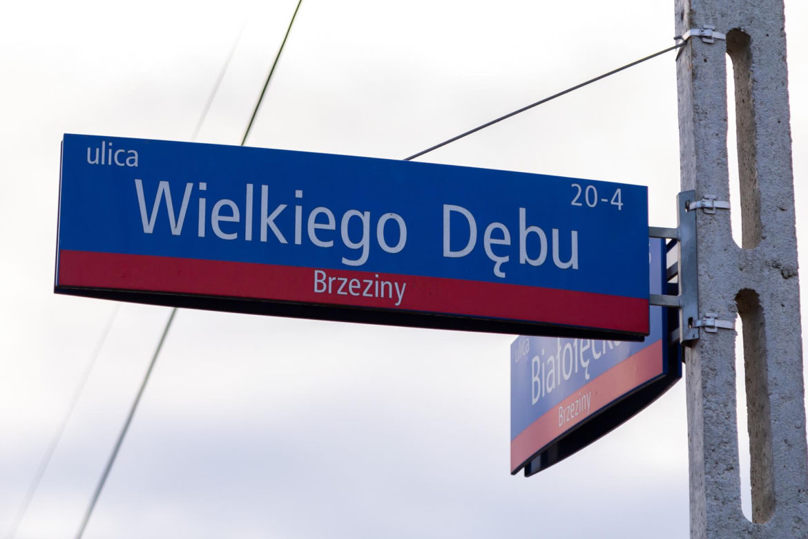 Ul. Wielkiego Dębu, Brzeziny