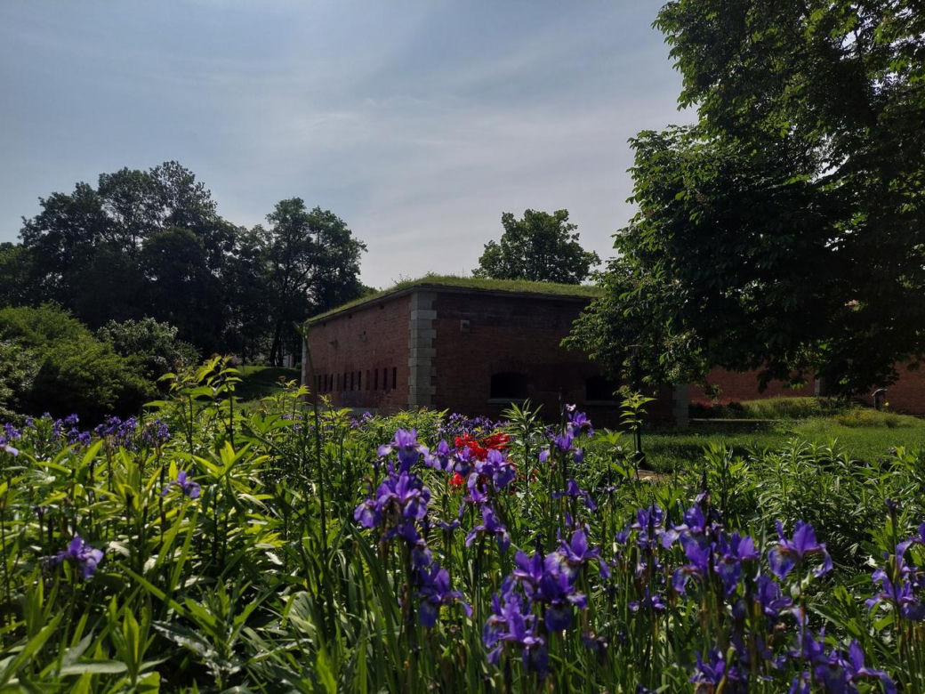 Park Miejski w Zamościu