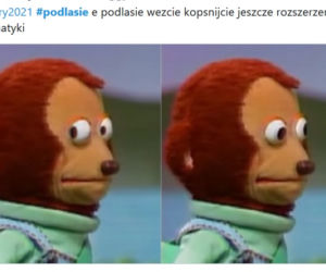 Matura 2021. Przecieki z Podlasia. Zobacz najlepsze memy [GALERIA]