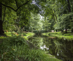 6. Park Miejski