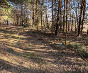 Pojechaliśmy na miejsce śmierci Magdaleny Majtyki. Nawet w dzień przyprawia o dreszcze