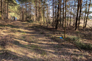 Pojechaliśmy na miejsce śmierci Magdaleny Majtyki. Nawet w dzień przyprawia o dreszcze