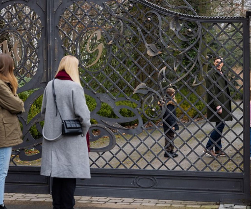 Emilka (Anna Ilczuk) i Marta (Honorata Witańska) stoją przed ozdobną, czarną bramą z literą S, patrząc na Fryderyka (Andrzej Kłak) z dziećmi, co sugeruje odkrycie zdrady. Więcej o dramatycznych wydarzeniach w serialu Pierwsza miłość na Super Seriale.