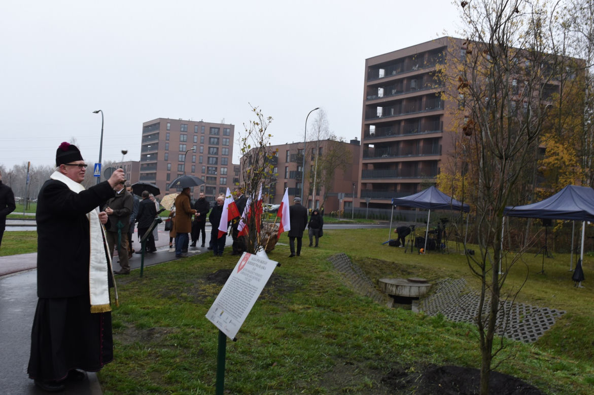 Aleja Polskiego Dziedzictwa Śląska w Katowicach