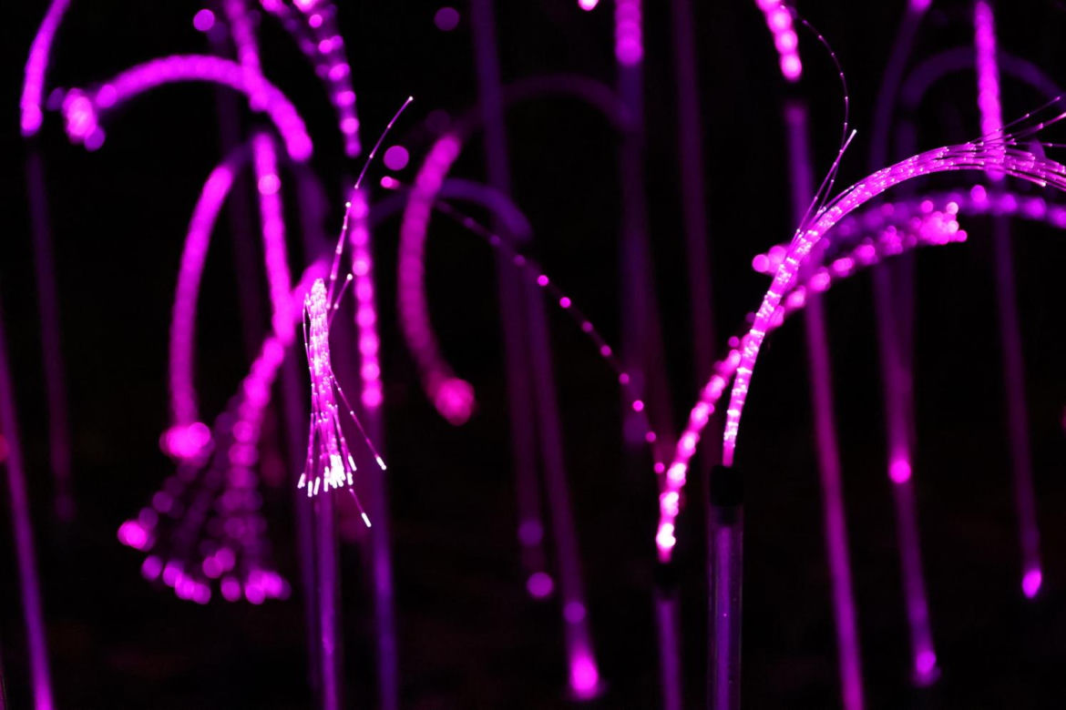 Lumina Park 2023 w Lublinie