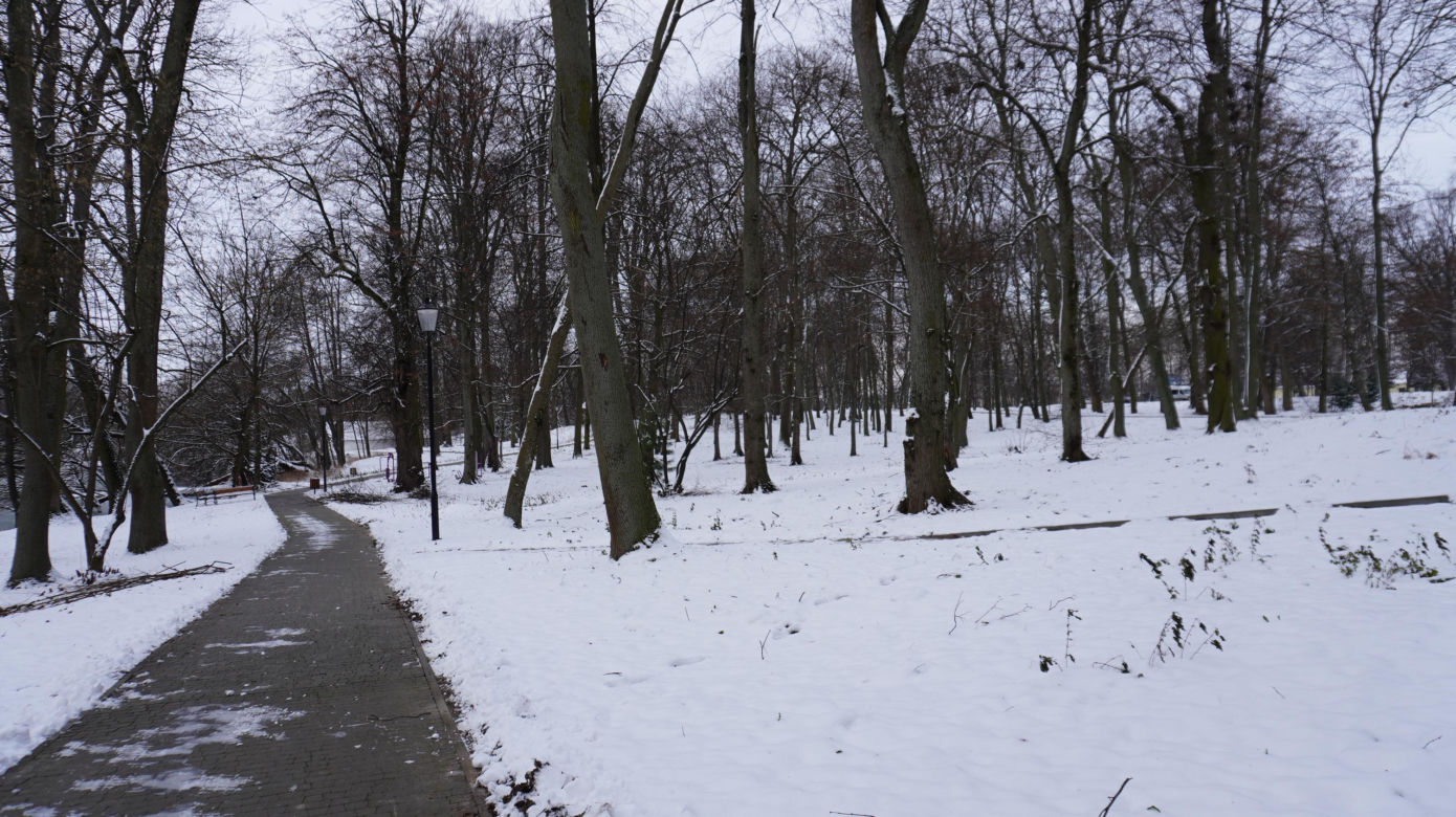Pomysł na jednodniową wycieczkę niedaleko Lublina. W Garbowie możesz podziwiać kościół w stylu neogotyckim i dworek kupiony od rodziny Czartoryskich! 