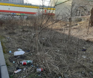 Śmieci w Łodzi walają się po skwerach i trawnikach. Mieszkańcy: Tak brudno nigdy nie było! 