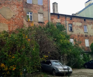 Kamienice przy ul. Niemierzyńskiej