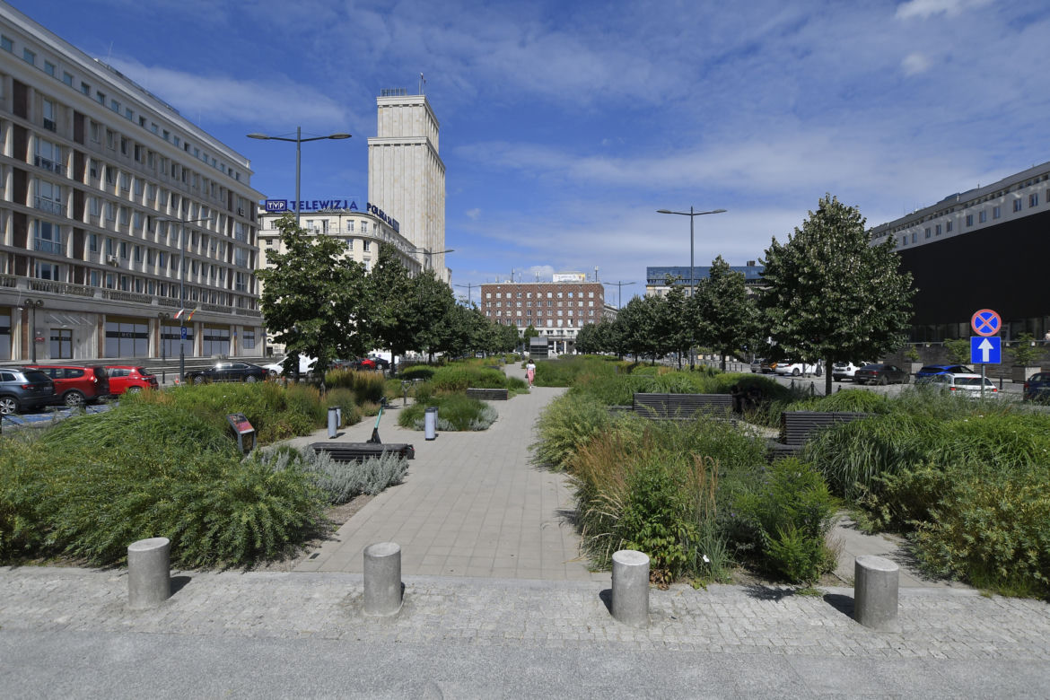 "Parkowanie w Warszawie to makabra!" Lipy opóźniają budowę parkingu podziemnego