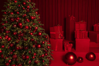 Wystarczy kilka bordowych dodatków… a efekt? Totalny zachwyt!