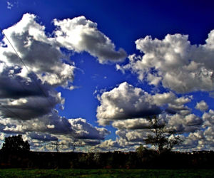 Natura, portrety ale też akty. Wernisaż wystawy Fotorefleksje 2020 w MBP