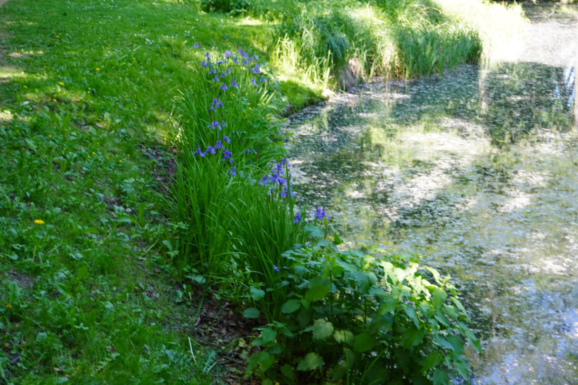 Park Sołacki w maju 2024
