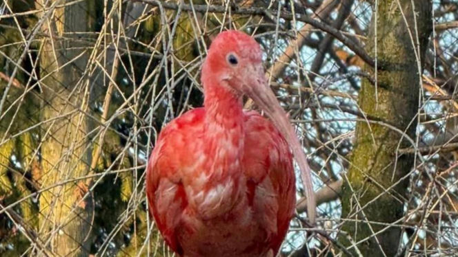 Nowi mieszkańcy zoo w Wojciechowie