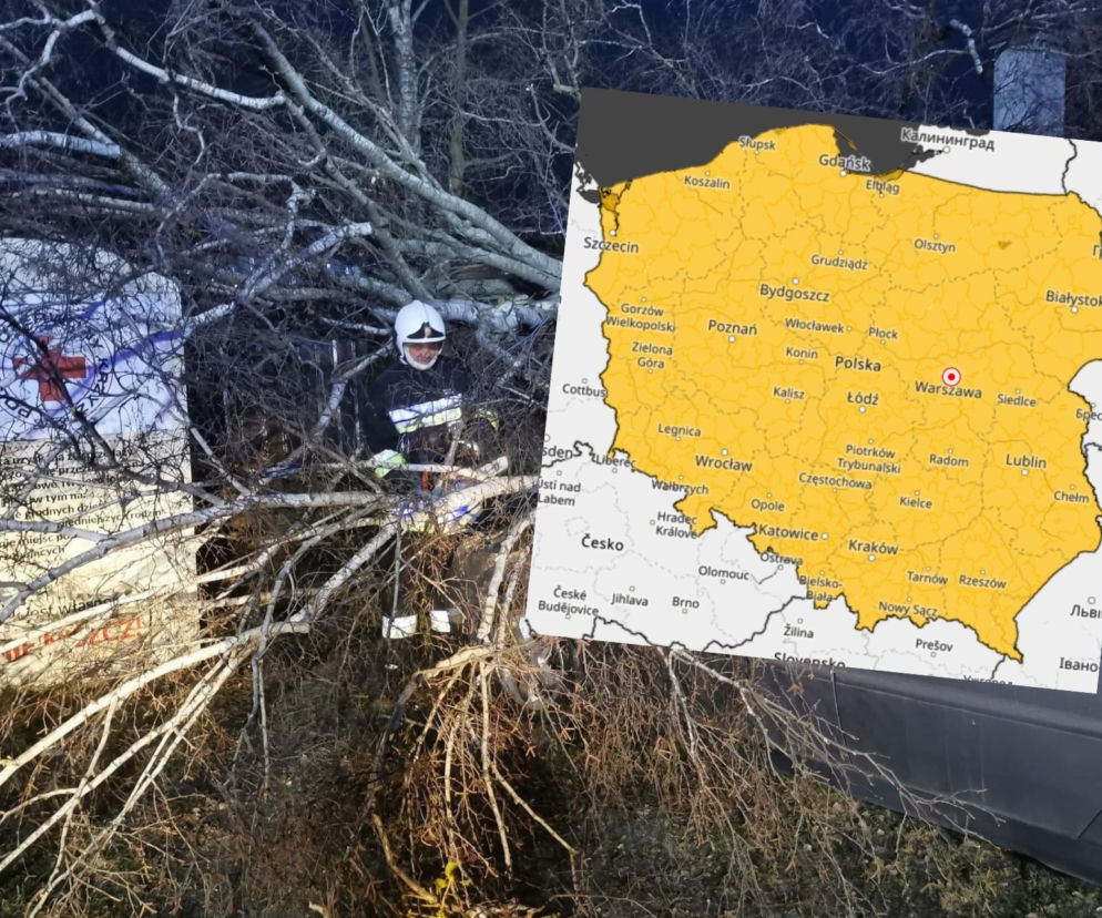 Silny wiatr w warmińsko-mazurskim. IMGW wydało ŻÓŁTY ALERT! 