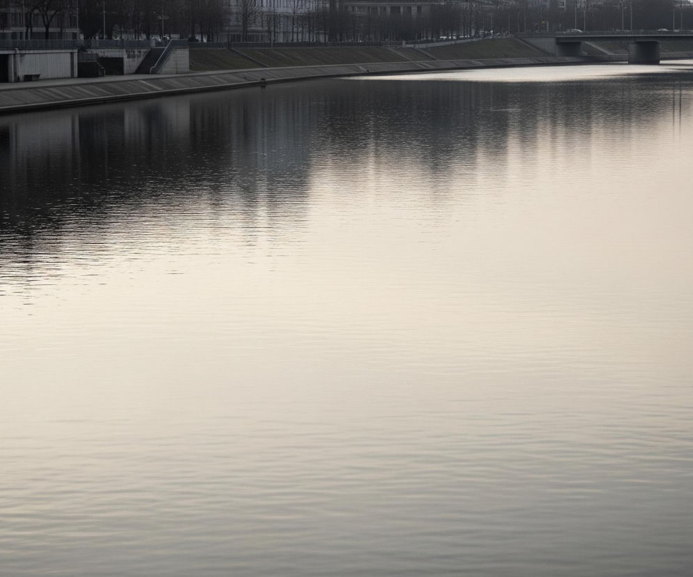 Pośrodku kadru rozciąga się rzeka o spokojnej, lekko falującej tafli wody w odcieniach szarości i beżu, zajmująca większość powierzchni obrazu. W górnej części widoczne są odbicia drzew i budynków w ciemniejszych, niemal czarnych tonach, tworzące horyzontalne smugi na wodzie. Po obu stronach rzeki biegną betonowe nabrzeża, z łagodnymi, trawiastymi skarpami powyżej, za którymi rozciągają się fragmenty miejskiej zabudowy z drzewami bez liści. W tle, na lewym brzegu, widoczne są nowoczesne, prostokątne budynki o jasnych elewacjach, a dalej w oddali, nad rzeką, znajduje się most o dwóch filarach, po którym przejeżdżają samochody.