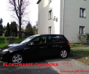 Miszczowie parkowania. Tak się to robi w Gliwicach