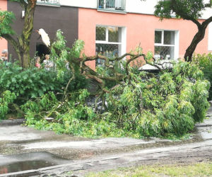 Bydgoszcz po nawałnicy