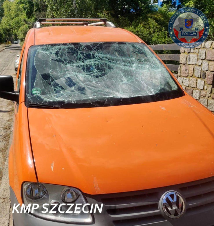 Zemścił się na byłym pracodawcy i zrobił demolkę