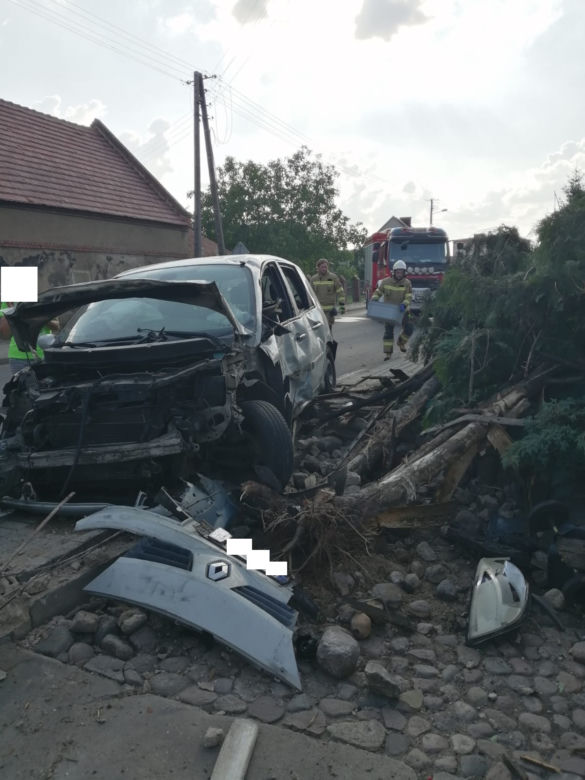 Młody kierowca staranował ogrodzenie posesji i drzewo