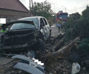 Młody kierowca staranował ogrodzenie posesji i drzewo