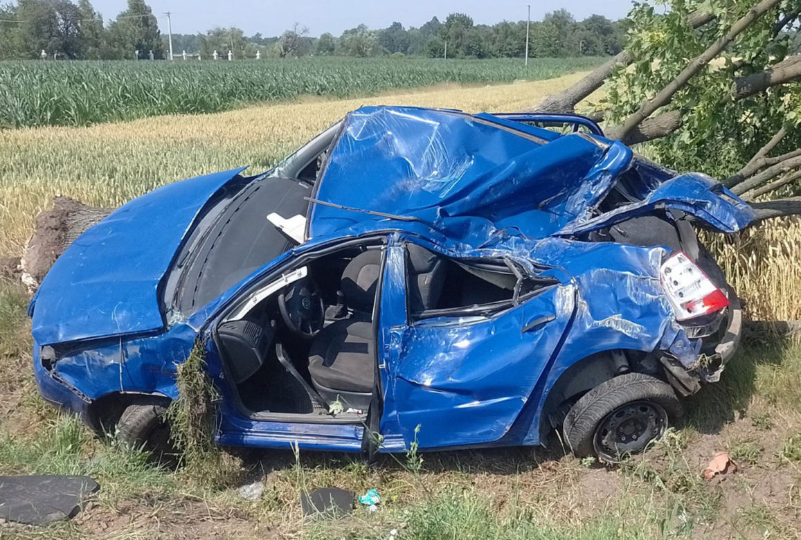 Koszmarny wypadek pod Płockiem! 35-latek uwięziony w skodzie nie żyje [ZDJĘCIA]