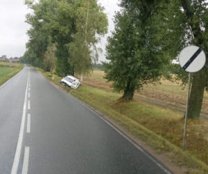 Ludów Polski - samochód wjechał do rowu